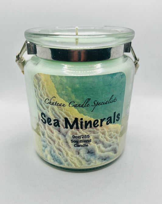 Sea Minerals